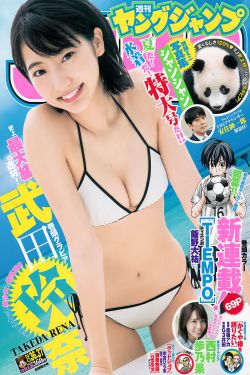 我们结婚吧全集下载